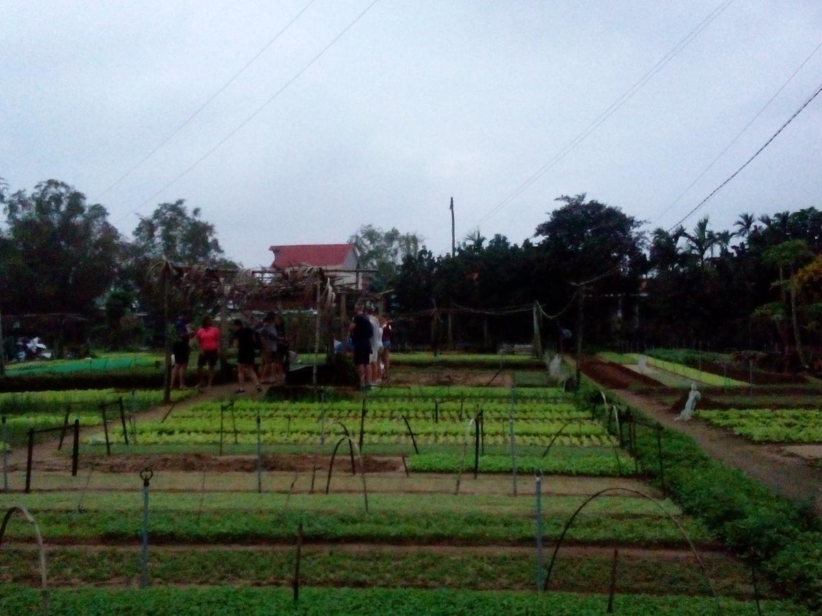 An Bang Beach Town Homestay ฮอยอัน ภายนอก รูปภาพ
